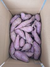 차병환 다복농장님의 작성글 사진