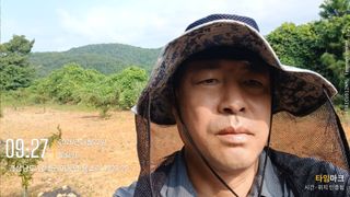 최강식님의 옥수수 · 영농일지 작성글 사진