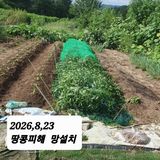 시민농장님의 작성글 사진