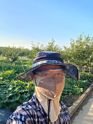 이종문님의 호박 · 영농일지 작성글 사진