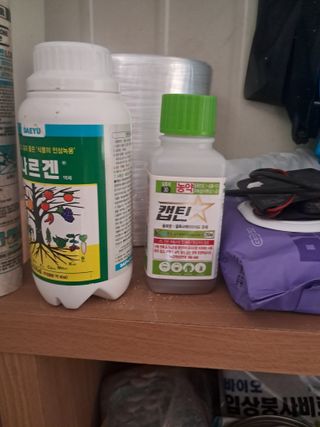 노재영님의 기타작물 · 영농일지 작성글 사진