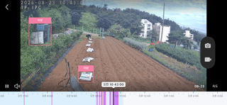 복숭아12570님의 배추 · 영농일지 작성글 사진