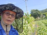 심기정님의 작성글 사진