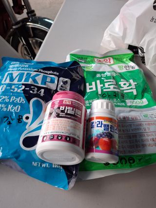 흑포님의 사과 · 영농일지 작성글 사진
