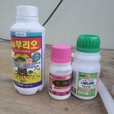 신명호님의 작성글 사진