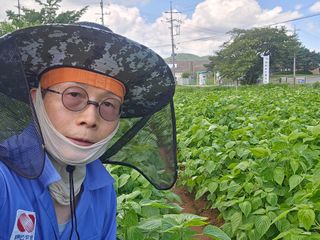 심기정님의 들깨 · 영농일지 작성글 사진