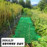 시민농장님의 작성글 사진