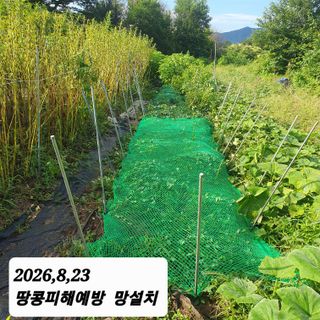 시민농장님의 기타작물 · 영농일지 작성글 사진