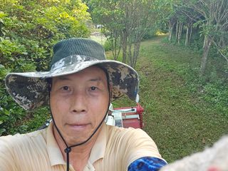 유자황칠님의 기타작물 · 영농일지 작성글 사진