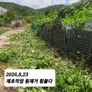 시민농장님의 기타작물 · 영농일지 작성글 사진