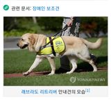 정찬영님의 작성글 사진