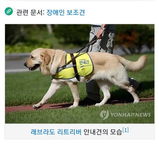 정찬영님의 기타작물 · 영농일지 작성글 사진