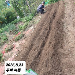시민농장님의 기타작물 · 영농일지 작성글 사진