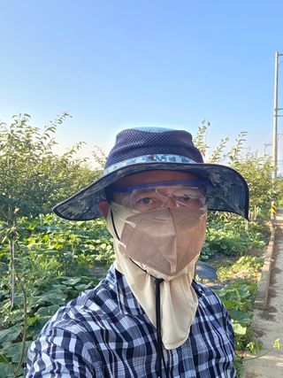이종문님의 호박 · 영농일지 작성글 사진