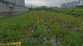 김동명님의 기타작물 · 영농일지 작성글 사진