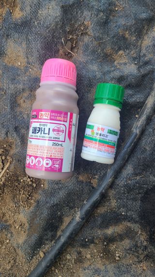 민철현님의 사과 · 영농일지 작성글 사진