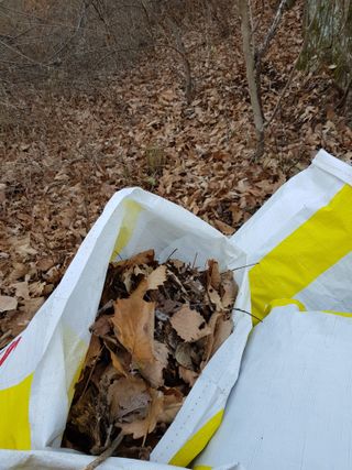 김공화님의 기타작물 · 영농일지 작성글 사진