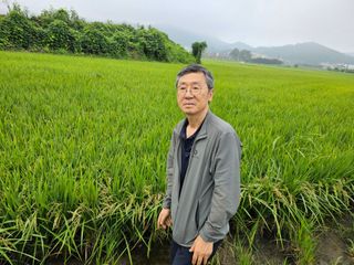 넥스젠님의 벼 · 영농일지 작성글 사진