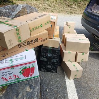 삼성농산님의 기타작물 · 영농일지 작성글 사진