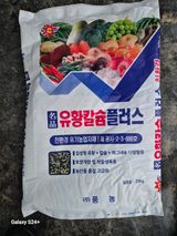 더 드림 농원님의 작성글 사진