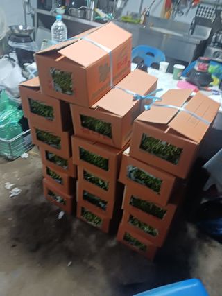 신건학님의 기타작물 · 영농일지 작성글 사진