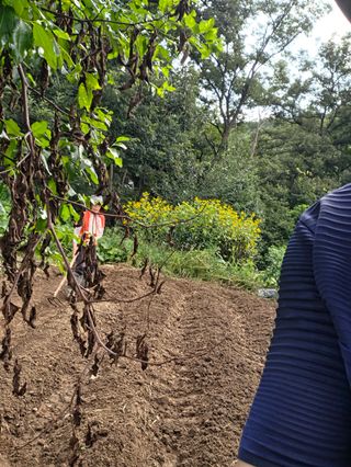 원감사님의 기타작물 · 영농일지 작성글 사진