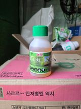 조정미님의 작성글 사진
