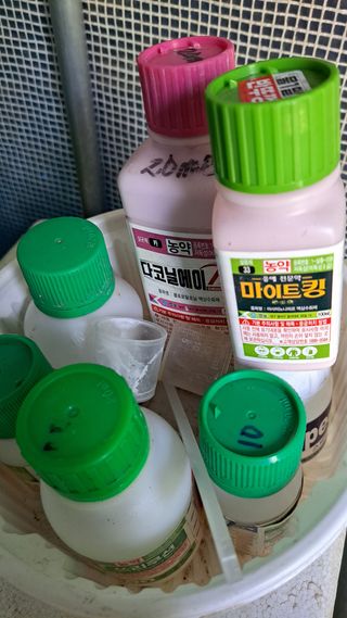 주윤발이님의 작성글 사진