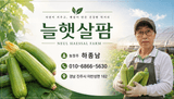 늘햇살팜 님의 작성글 사진