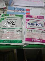 팜모닝 사과·영농일지 게시글 이미지