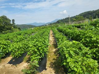 전선경님의 작성글 사진