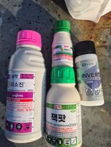 팜모닝 기타작물·영농일지 게시글 이미지