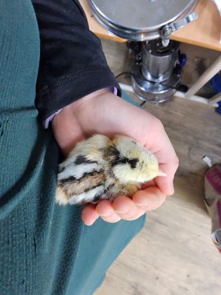 발해인님의 기타작물 · 영농일지 작성글 사진