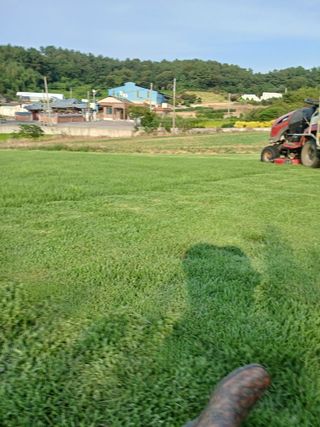최유순님의 참깨 · 영농일지 작성글 사진