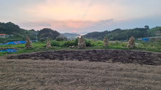촌사리(김정대)님의 기타작물 · 영농일지 작성글 사진