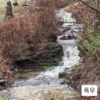 윤영식님의 기타작물 · 영농일지 작성글 사진