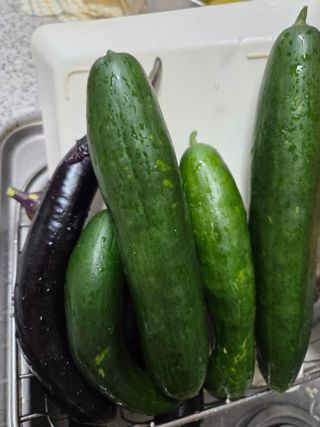 뚜비맘님의 기타작물 · 영농일지 작성글 사진