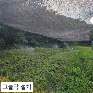 윤영식님의 기타작물 · 영농일지 작성글 사진