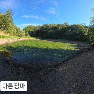 윤영식님의 기타작물 · 영농일지 작성글 사진