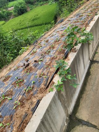 최병우님의 벼 · 영농일지 작성글 사진