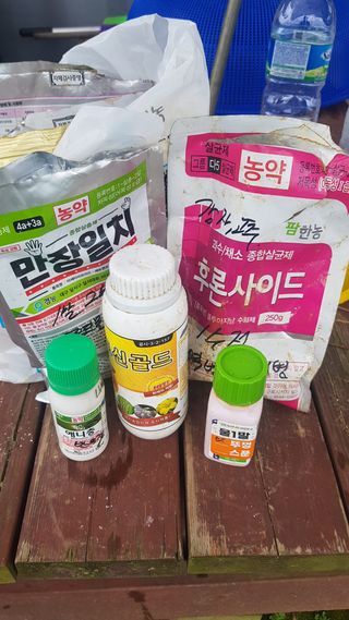 최춘득 청대산 님의 고추 · 영농일지 작성글 사진