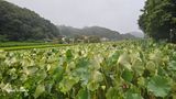 염봉섭님의 작성글 사진