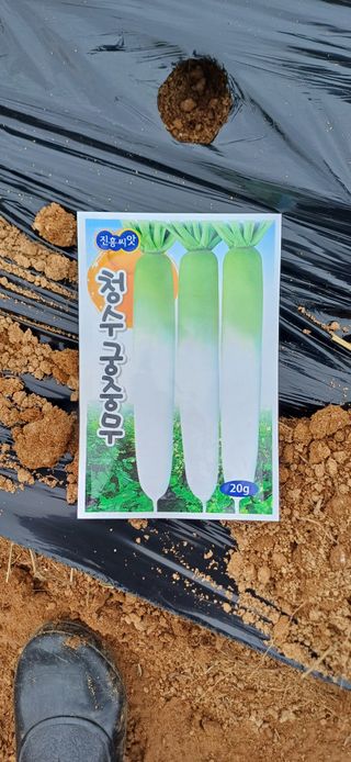 한재승님의 기타작물 · 영농일지 작성글 사진