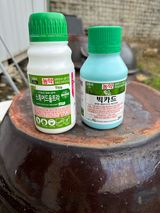 이익수님의 작성글 사진