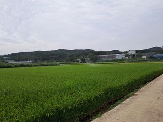 이도재님의 기타작물 · 영농일지 작성글 사진