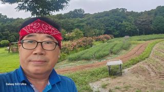 염봉섭님의 기타작물 · 영농일지 작성글 사진