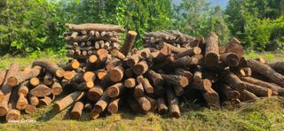 최병길님의 버섯 · 영농일지 작성글 사진