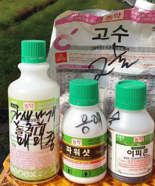 김제일님의 기타작물 · 영농일지 작성글 사진
