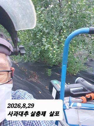 시민농장님의 기타작물 · 영농일지 작성글 사진
