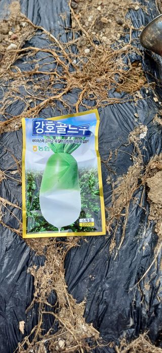 한재승님의 파 · 영농일지 작성글 사진